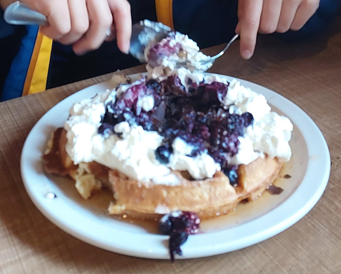 Gluten Free Waffle with cream and berries
